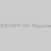 Rev-CEM-GFP HIV Reporter Cells